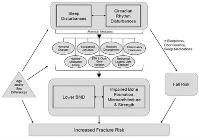 Training Load Capacity, Cumulative Risk, and Bone Stress Injuries: A Narrative Review of a Holistic Approach